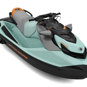 Sea Doo Wake Pro